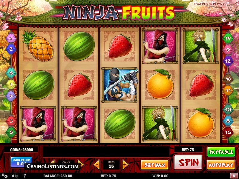 Ninja Fruits -897401