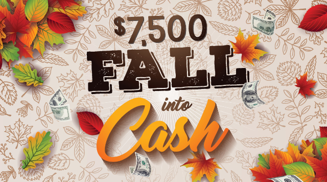 Fall Into Cash -53437