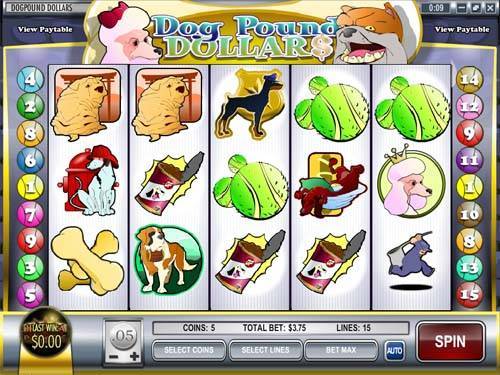 Online Casino Games -681005