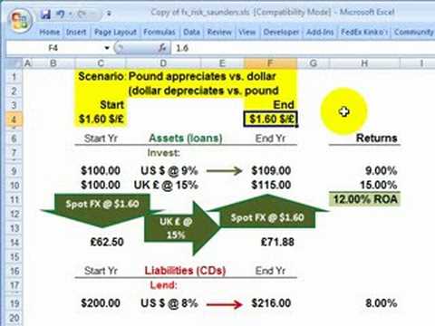 Foreign Currency Deposit -487163
