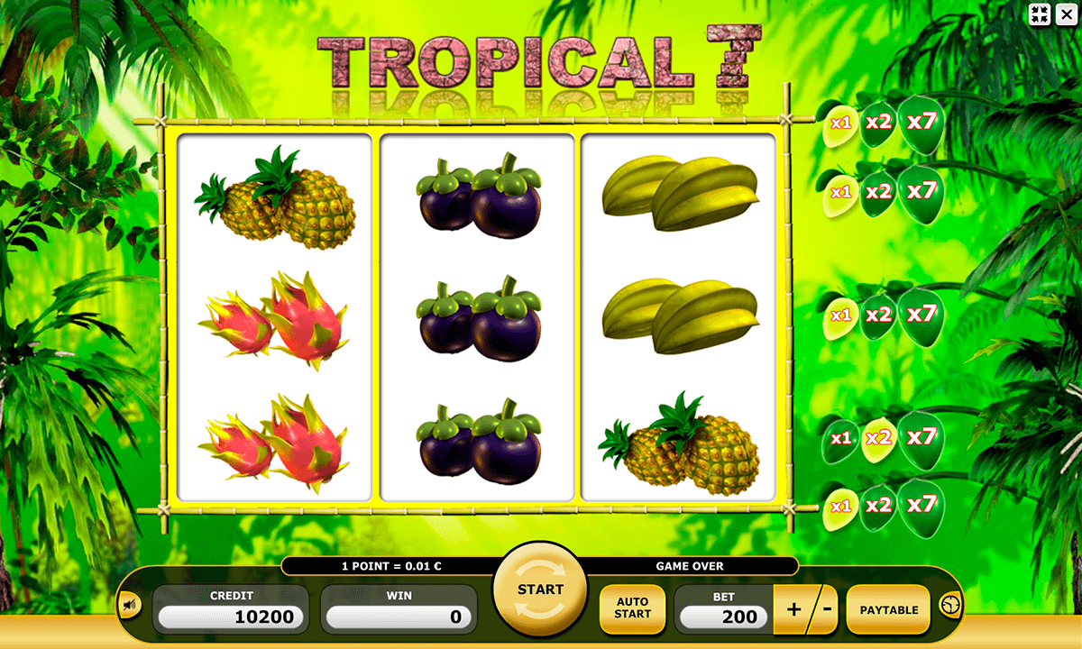 Tropic Reels Slot -430277
